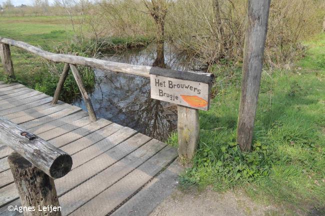 Bruggetje over de Landmeerse Loop