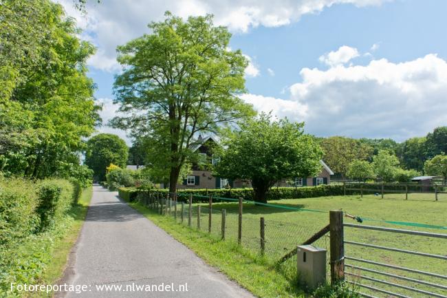 Groene Wissel Hoenderloo