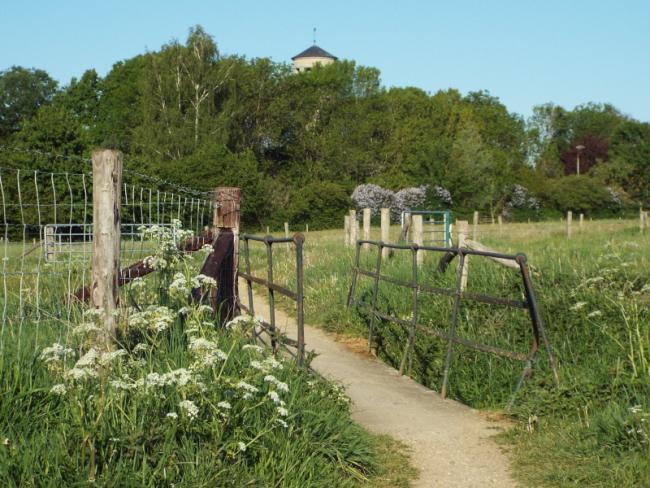 Door de Oeffelter Meent