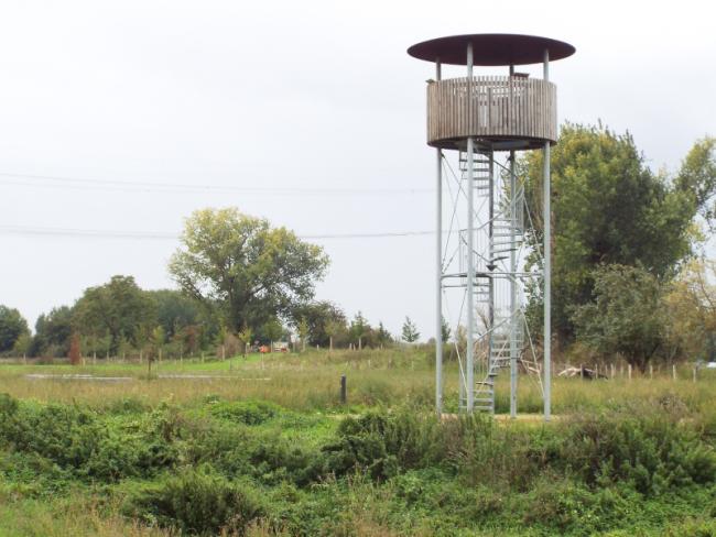 Uitkijktoren bij de laatste resten van kasteel Walburg