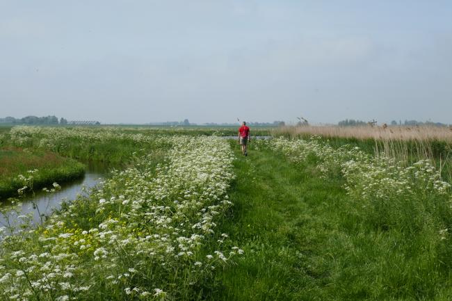 De zuidrand van Delft