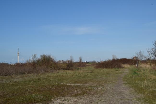 Voetstapper Lelystadse Duinen