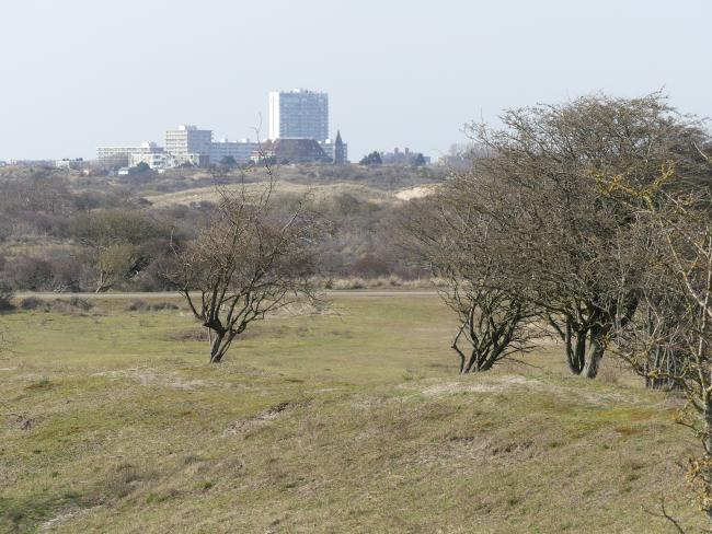 Trage Tocht Zandvoort