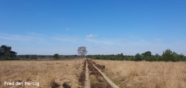 Knopenrondje Houtdorperveld