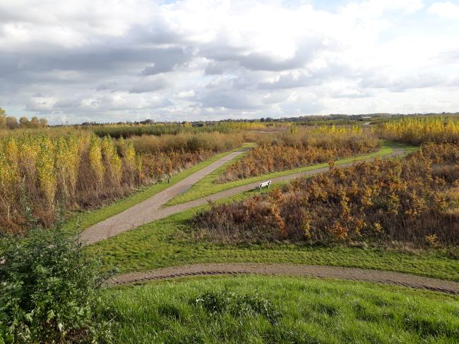 Door het Bentwoud (Zoetermeer)