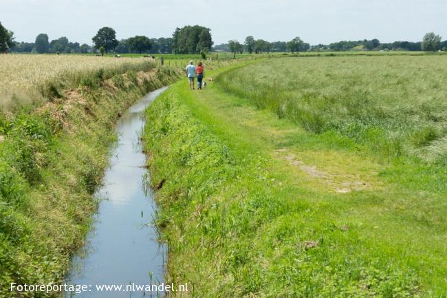 Groene Wissel Voorthuizen