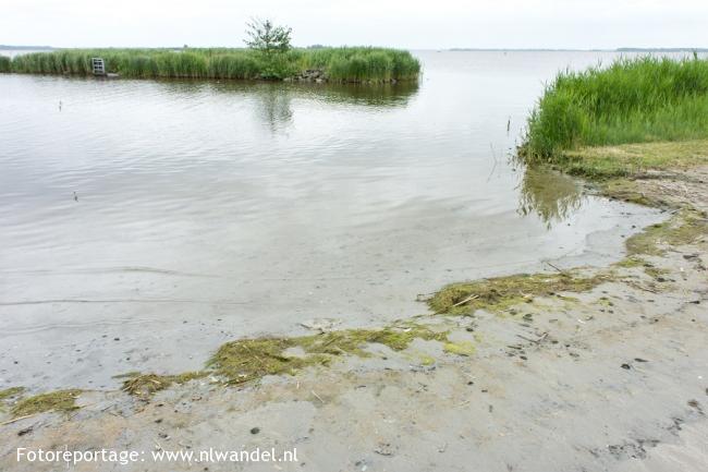 Lauwersmeer, strandje