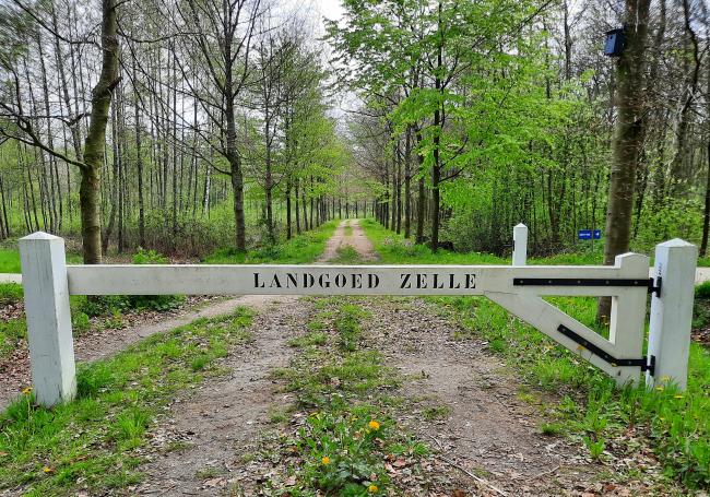 Knopenrondje Landgoed Zelle