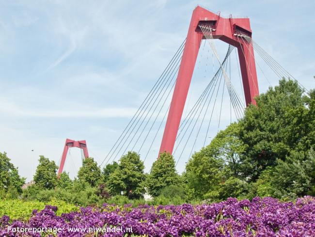 NS-wandeling Rotterdam Maasstad