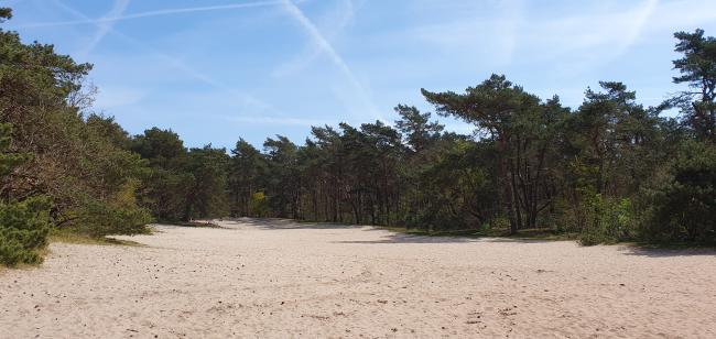 Kort en Prachtig Biltse Duinen