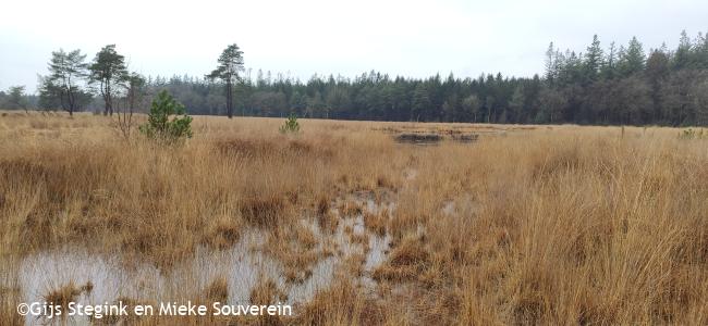 Knopenrondje Landgoed Boschoord