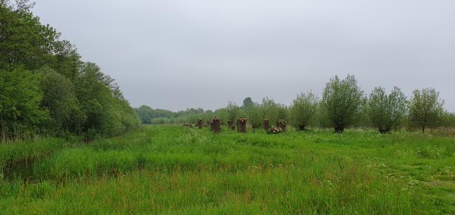 Kort en Prachtig Noorderpark