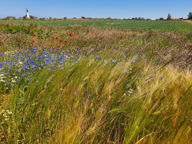 Trage Tocht Texel 't Horntje