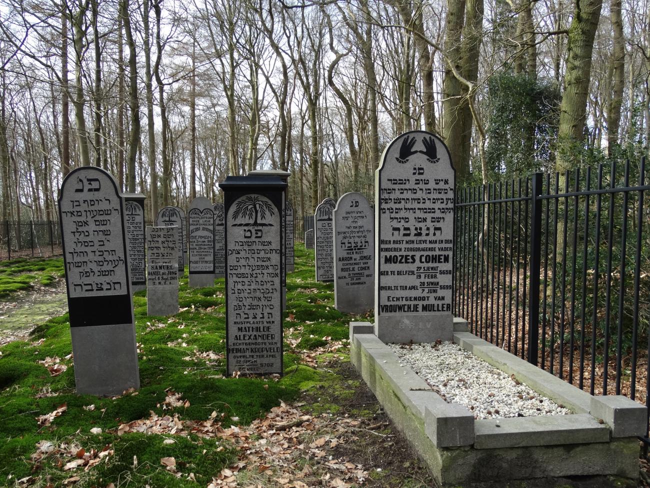 De Joodse begraafplaats midden in het bos