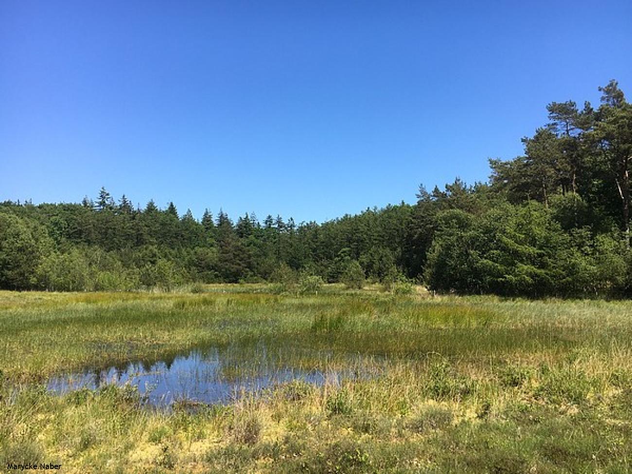 Uffelter Binnenveld
