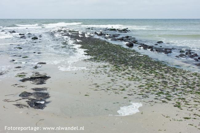 Groene Wissel Vlieland: Oost-Vlieland