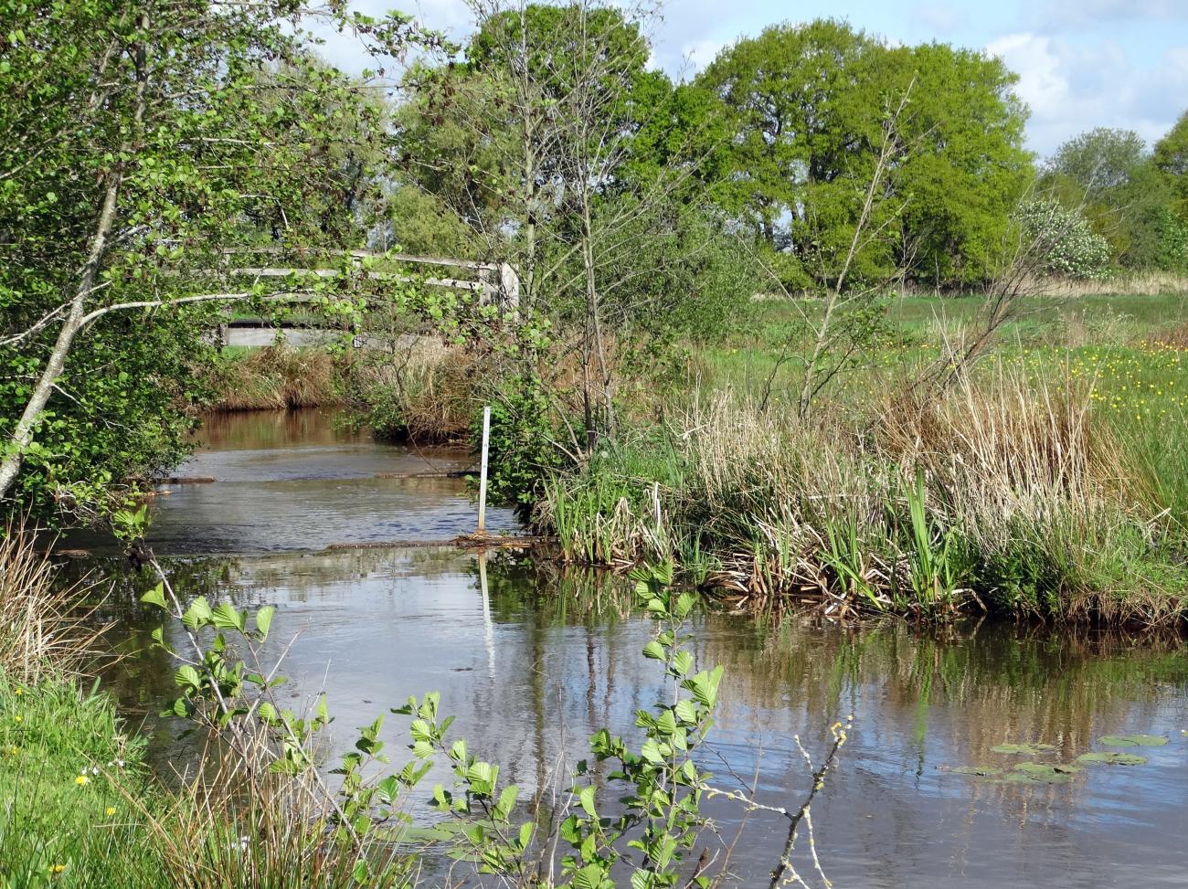 Westerwolde kleine lus 4a