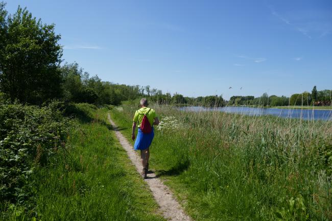 Ten Zuiden van Delft (Delfland-wandeling 11)