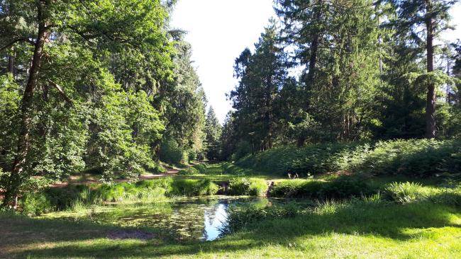 Kort en Prachtig De Hooge Vuursche