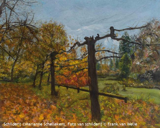 Herfst in Opwetten