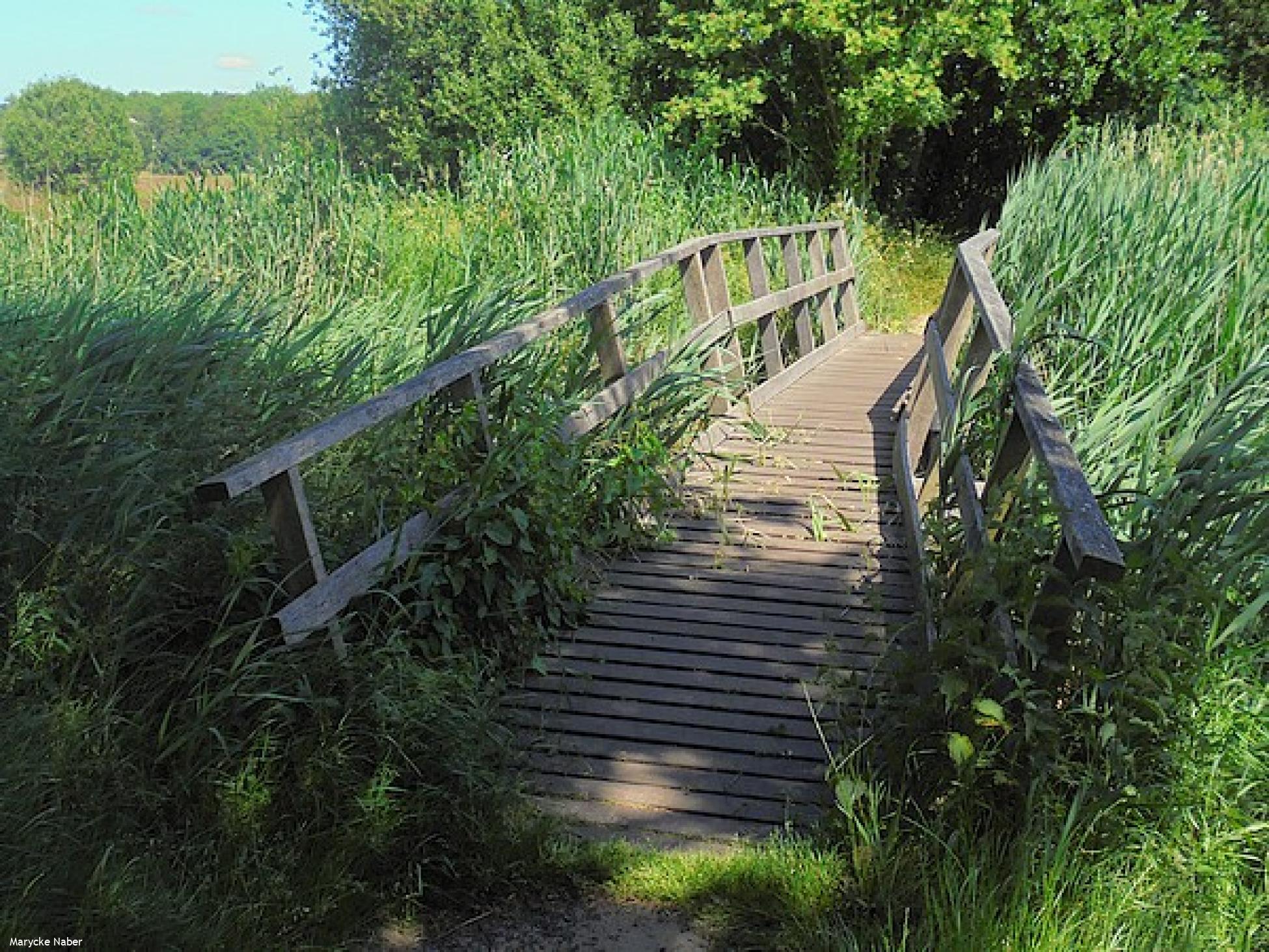 Kerkvonder over de Reest