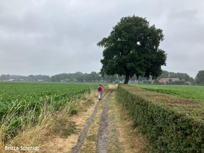 Agnietenberg Dodenweg 