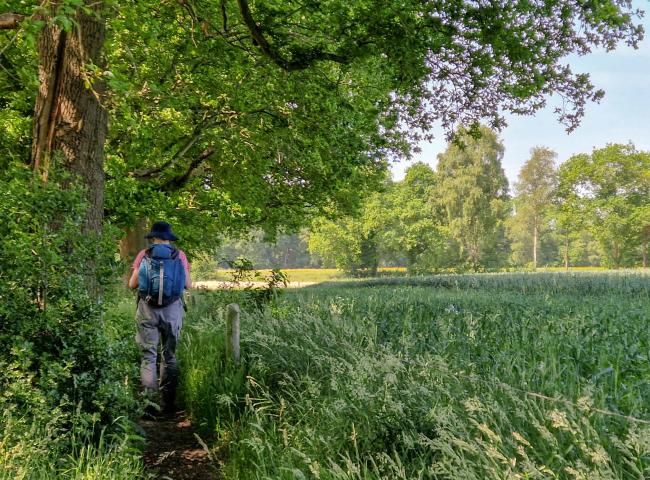 Trage Tocht Fleringen