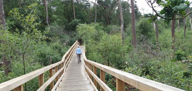 Kort en Prachtig Stormpad Veldschuur Staatsbosbeheer