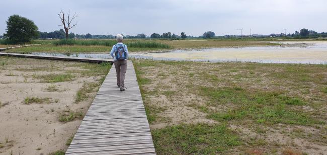 Kort en Prachtig De Groene Grens