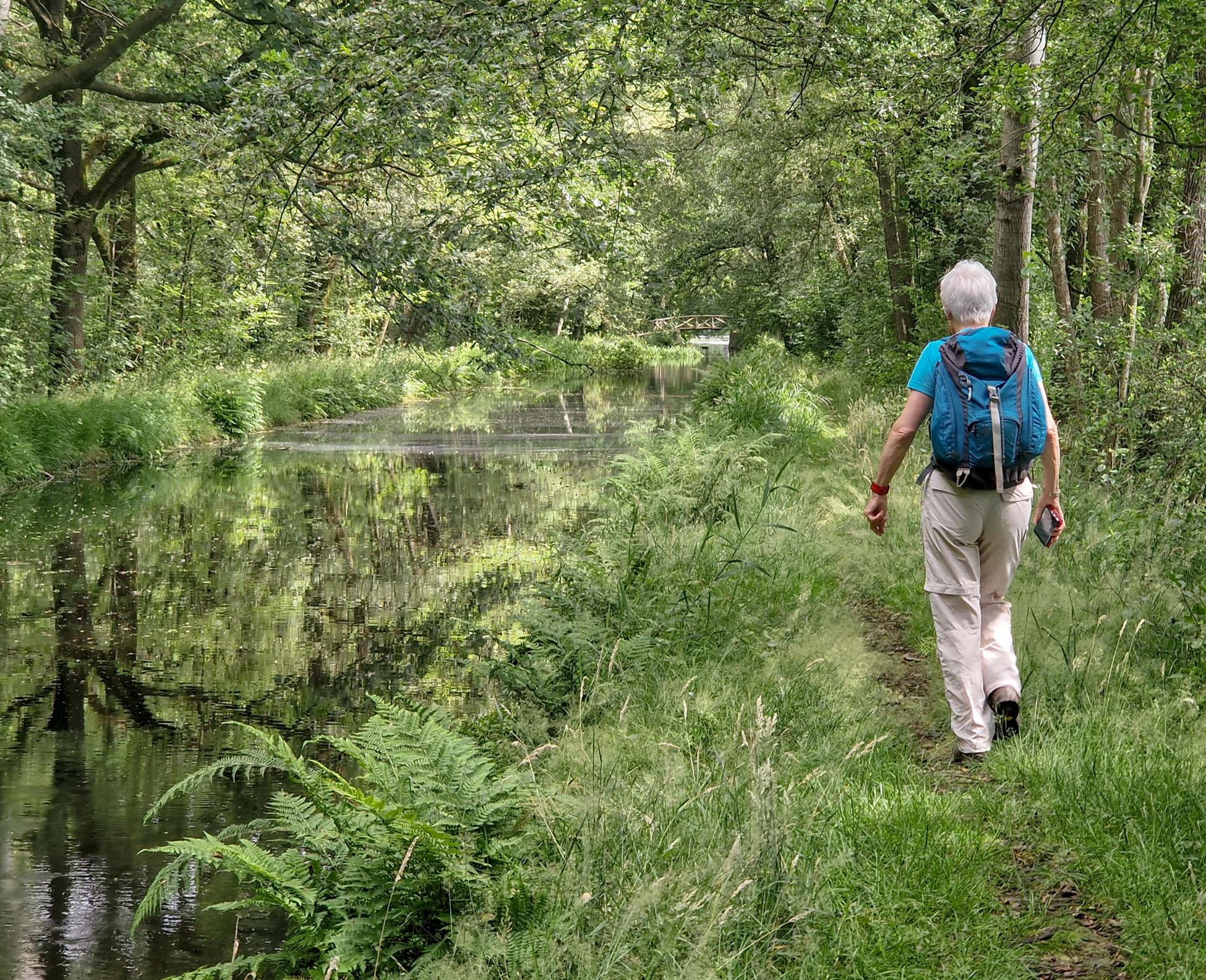 Beekloopje Klarenbeek