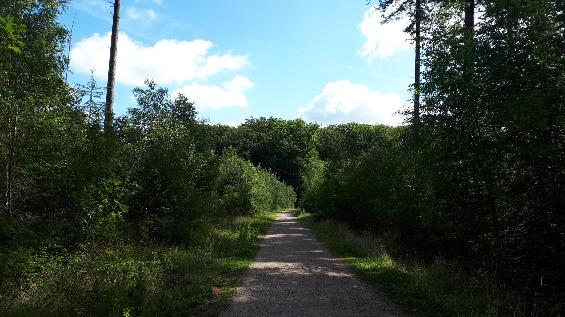 Kort en Prachtig Paardenbos