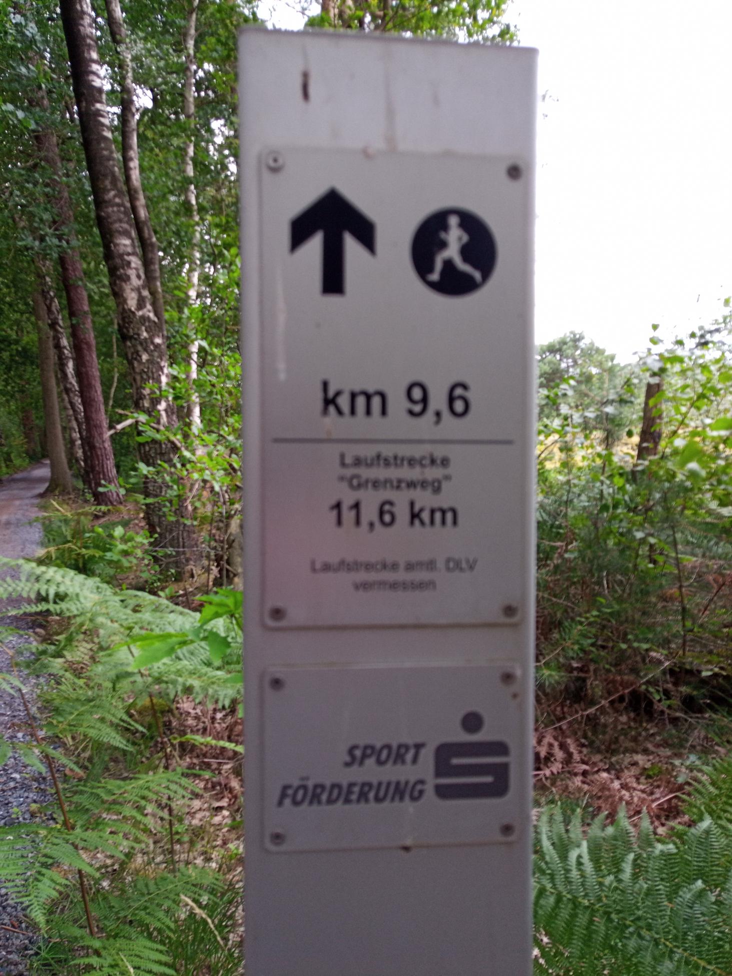 De Grenzweg - een fietspad met links bos en rechts akkers en verderop vennen