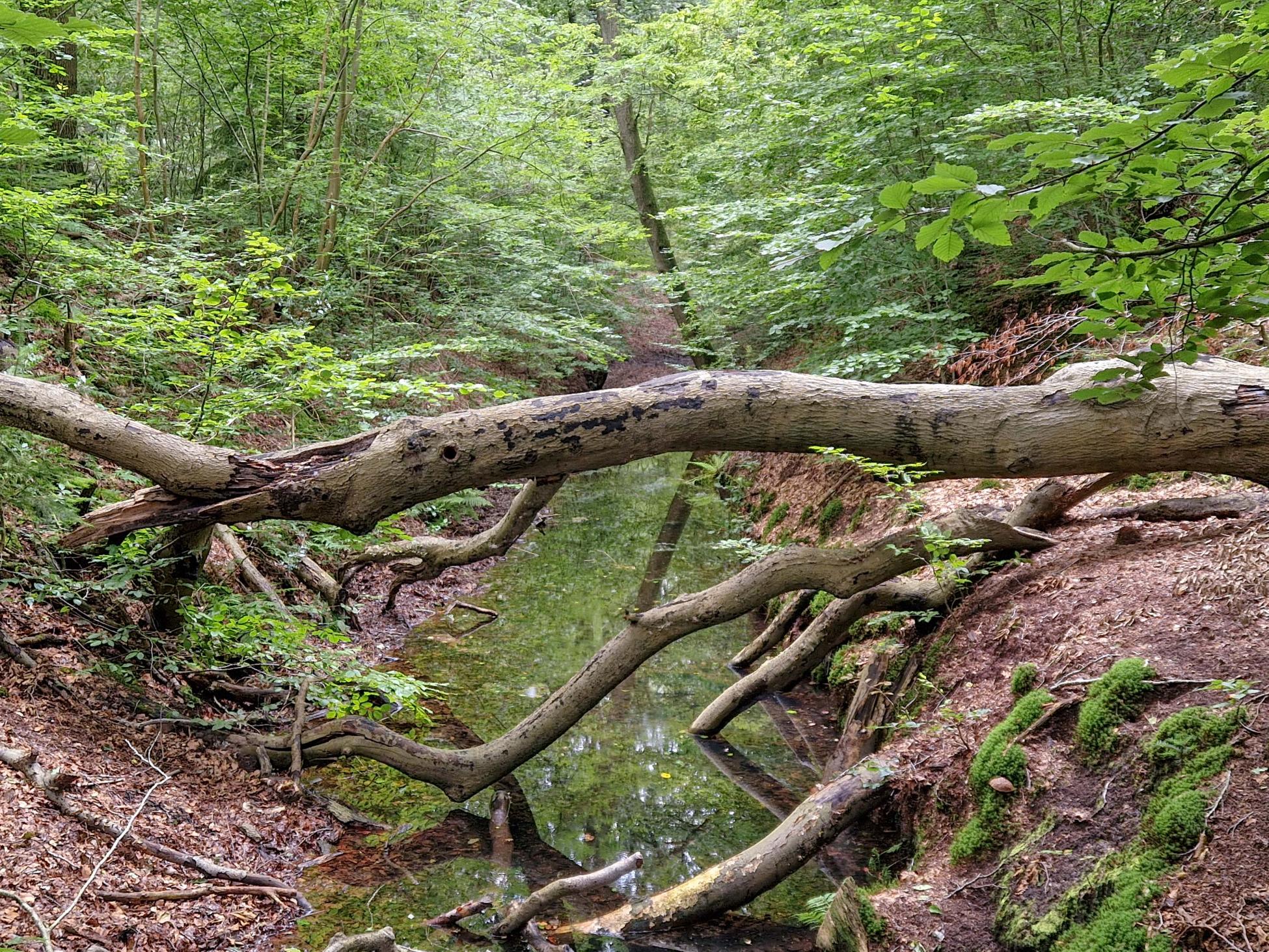 Beekloopje Hattem