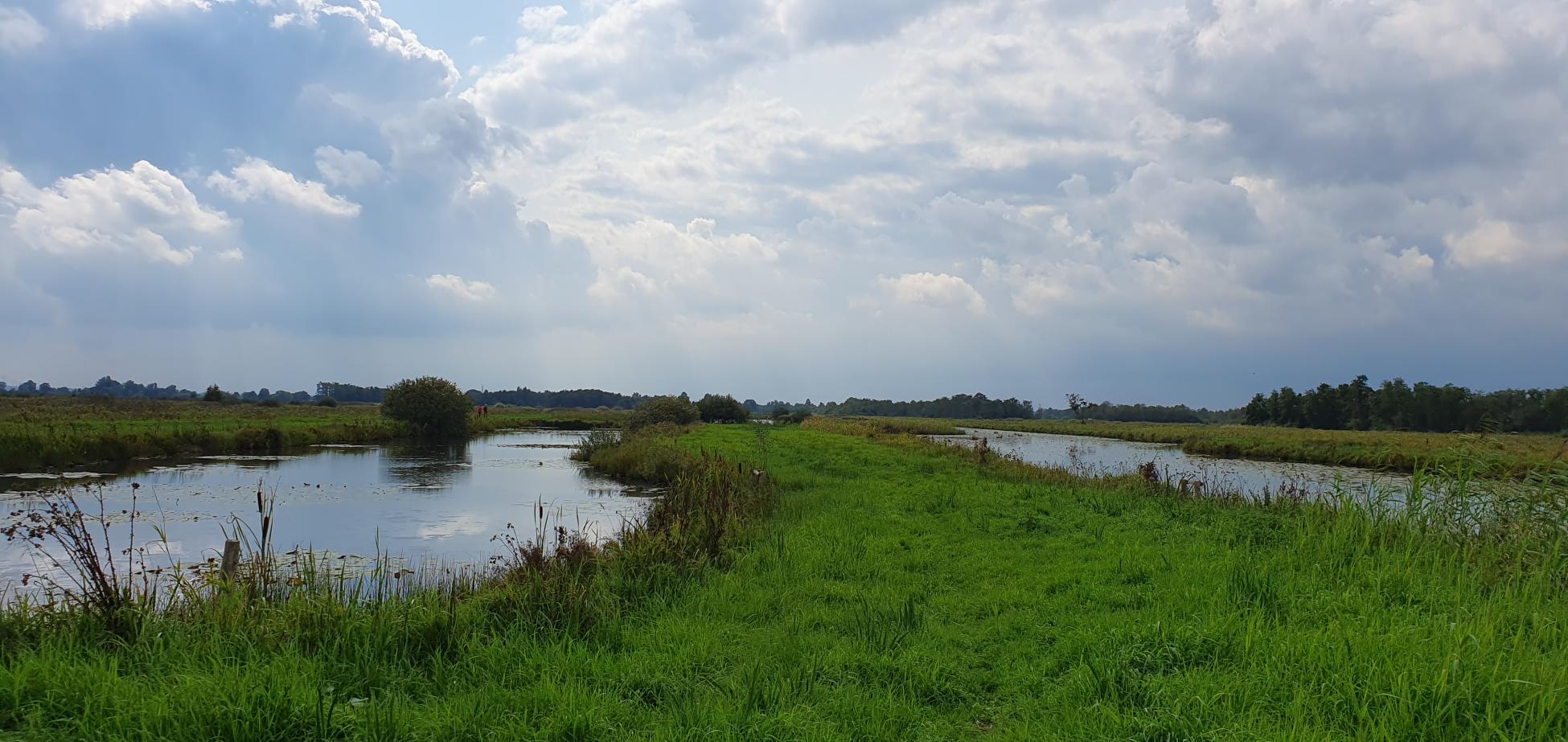 Kort en Prachtig Westbroekse Zodden