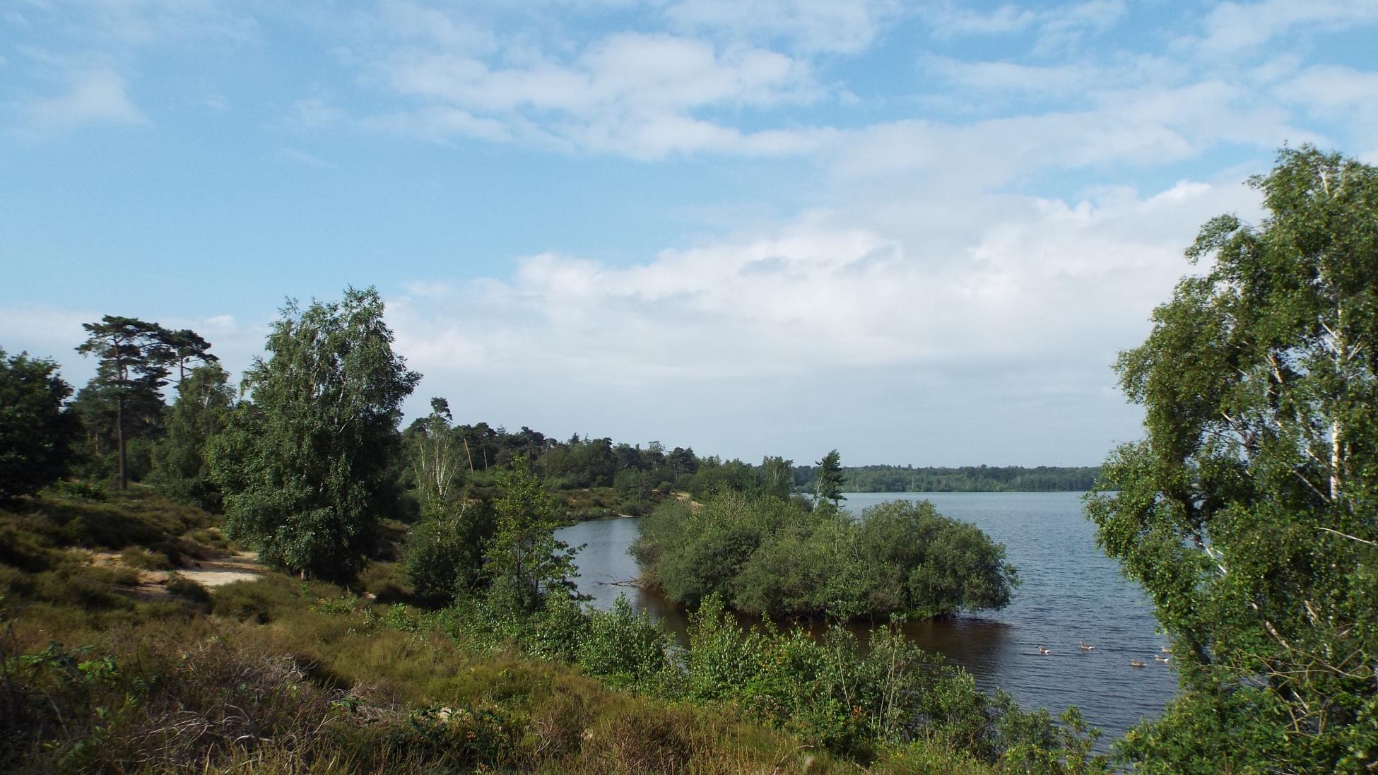 Rond het Reindersmeer