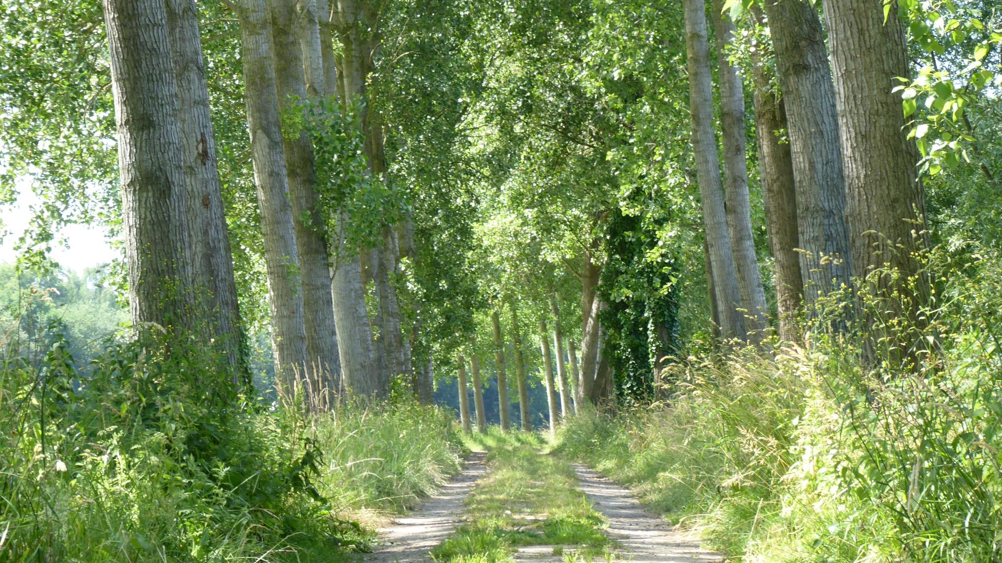 Naar het Gasthuiskamp