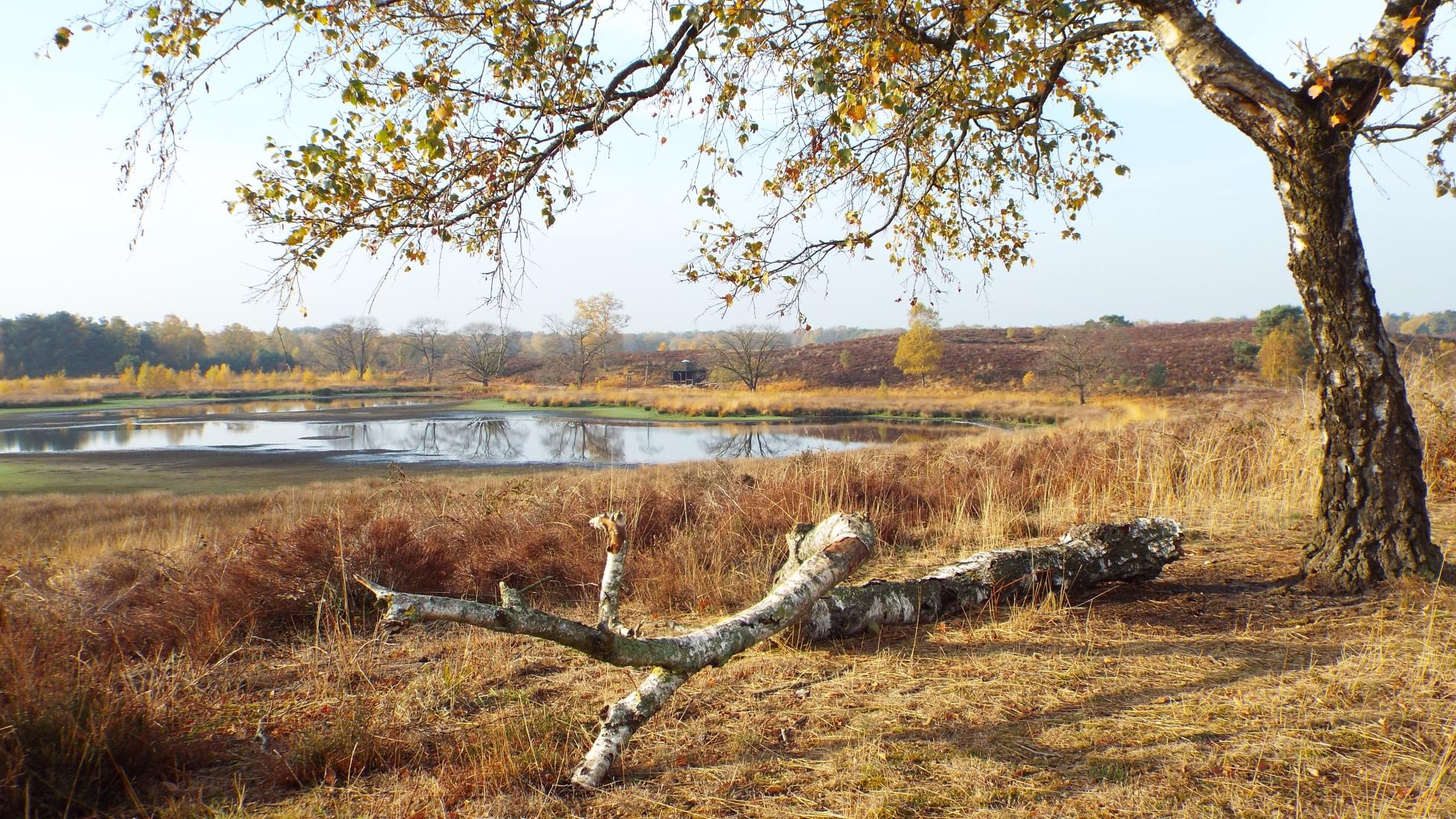 Dikkenberg-tocht