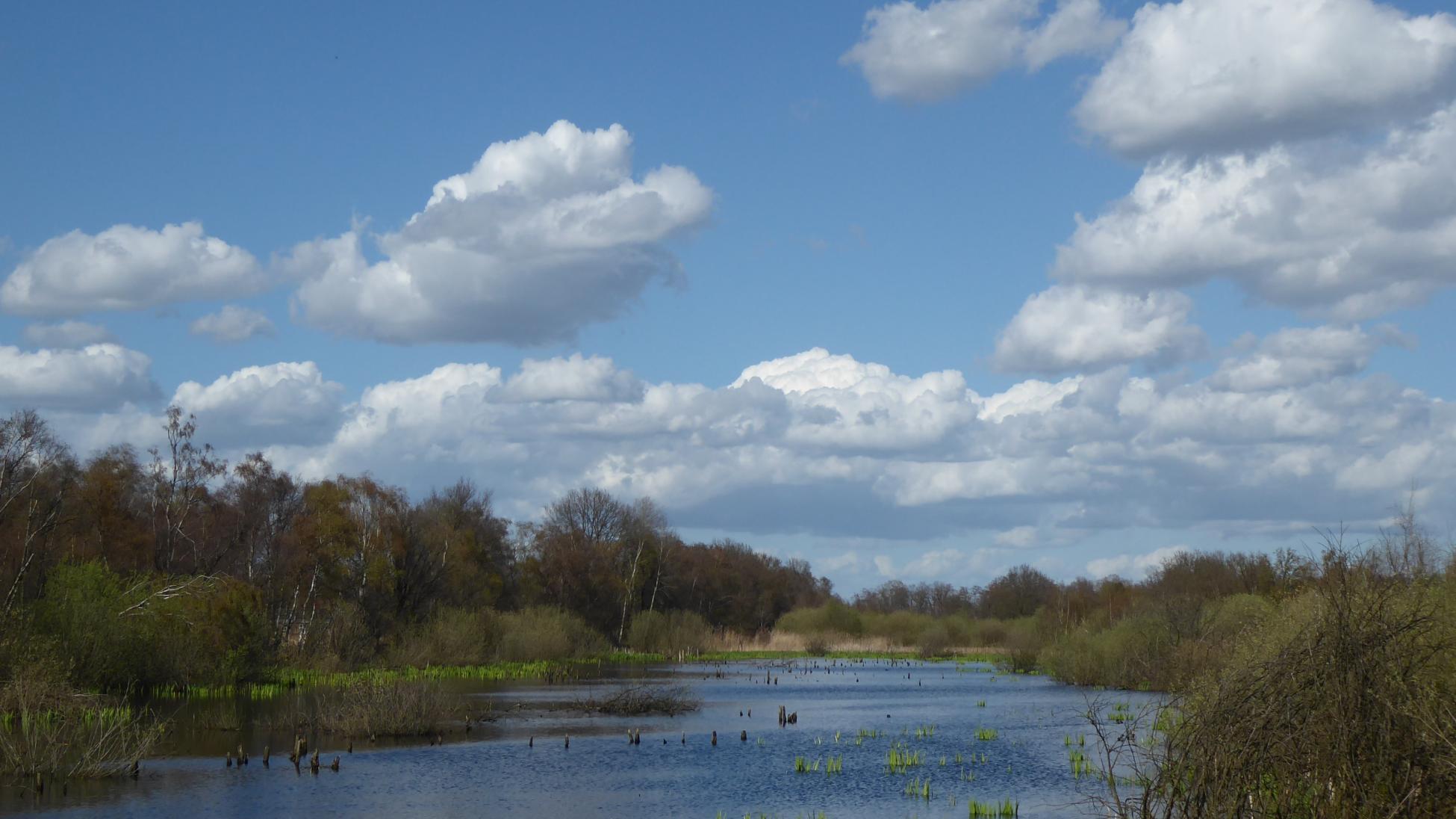 De Deurnsche Peel