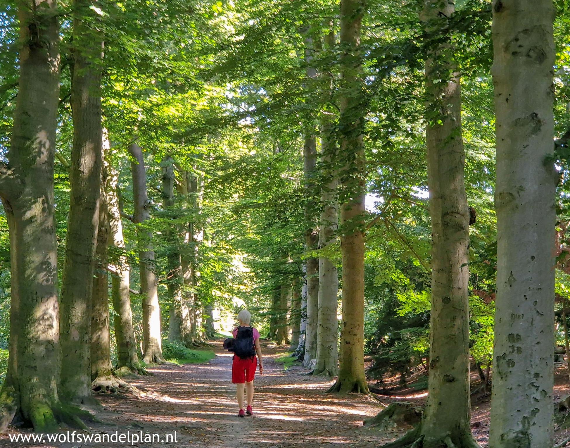 Rap Rondje Huis te Eerbeek