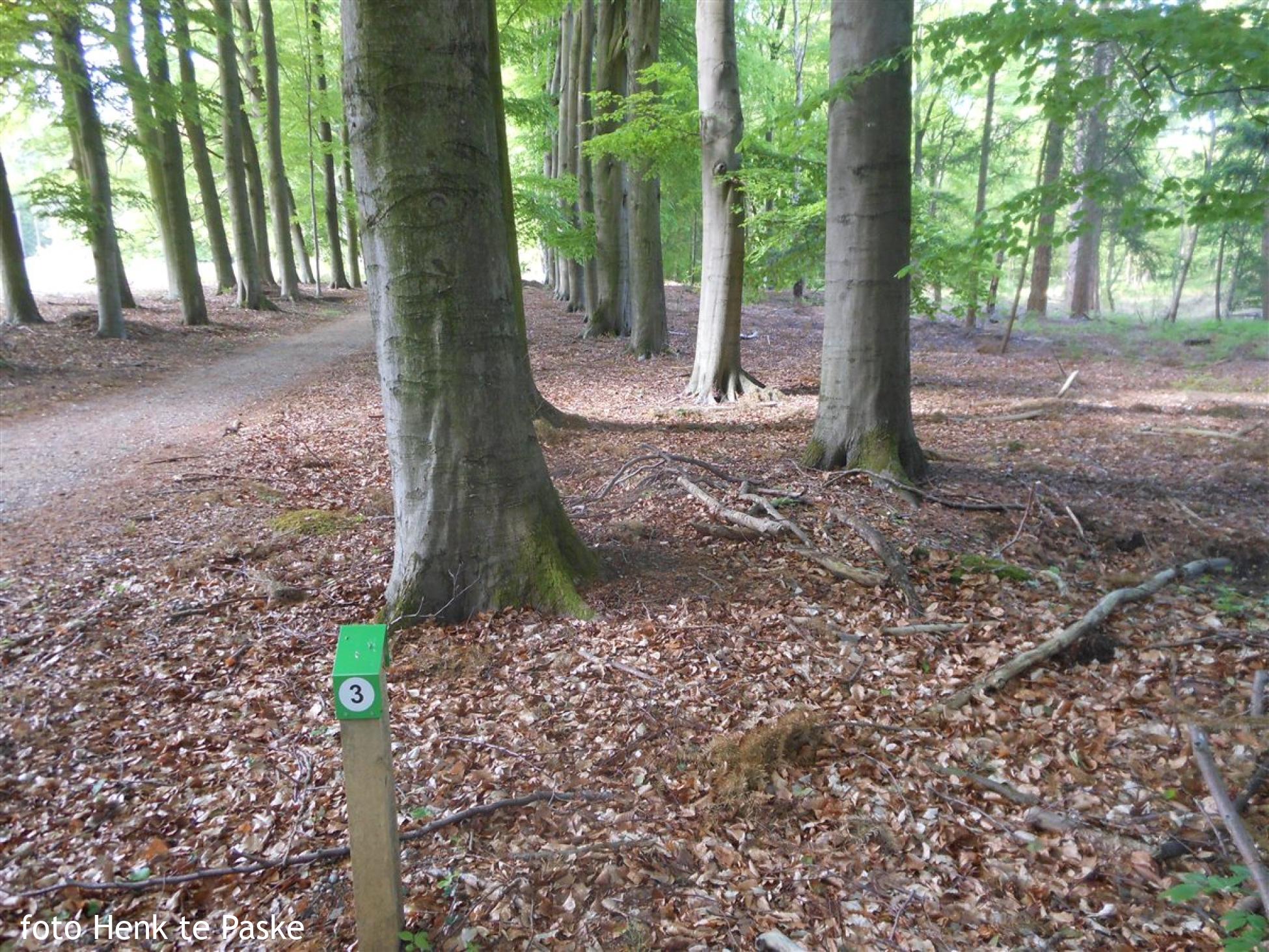 Prachtige Heuvelrug West