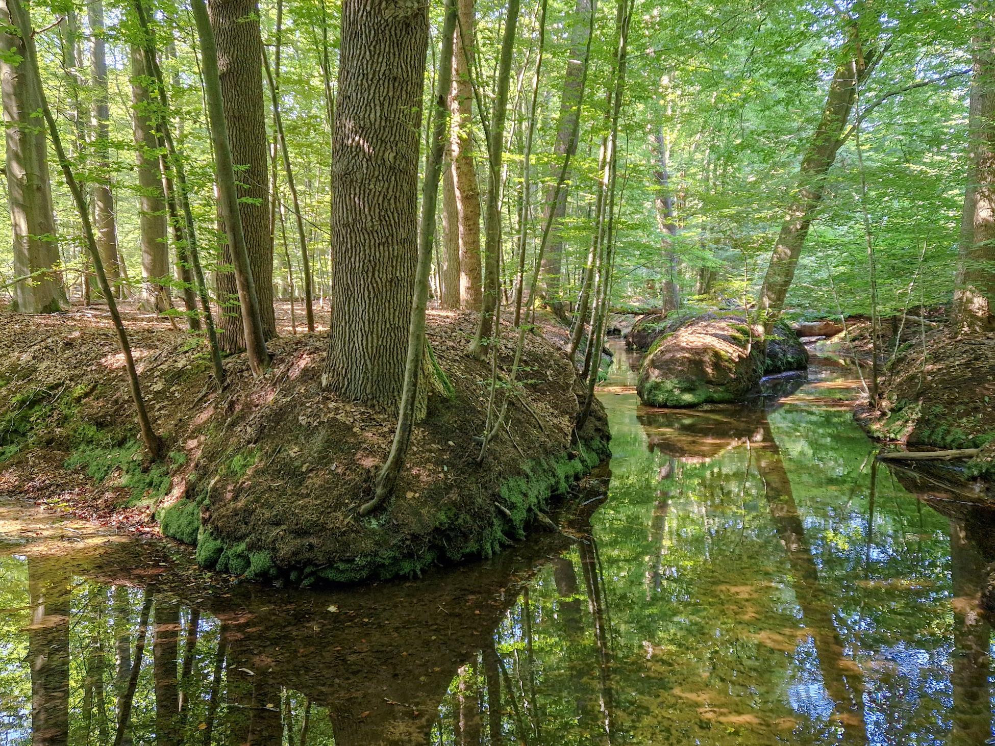 Beekloopje Vaassen