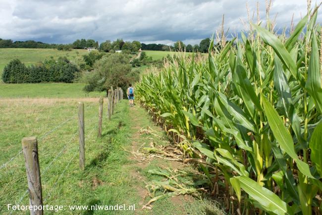 Groene Wissel Slenaken