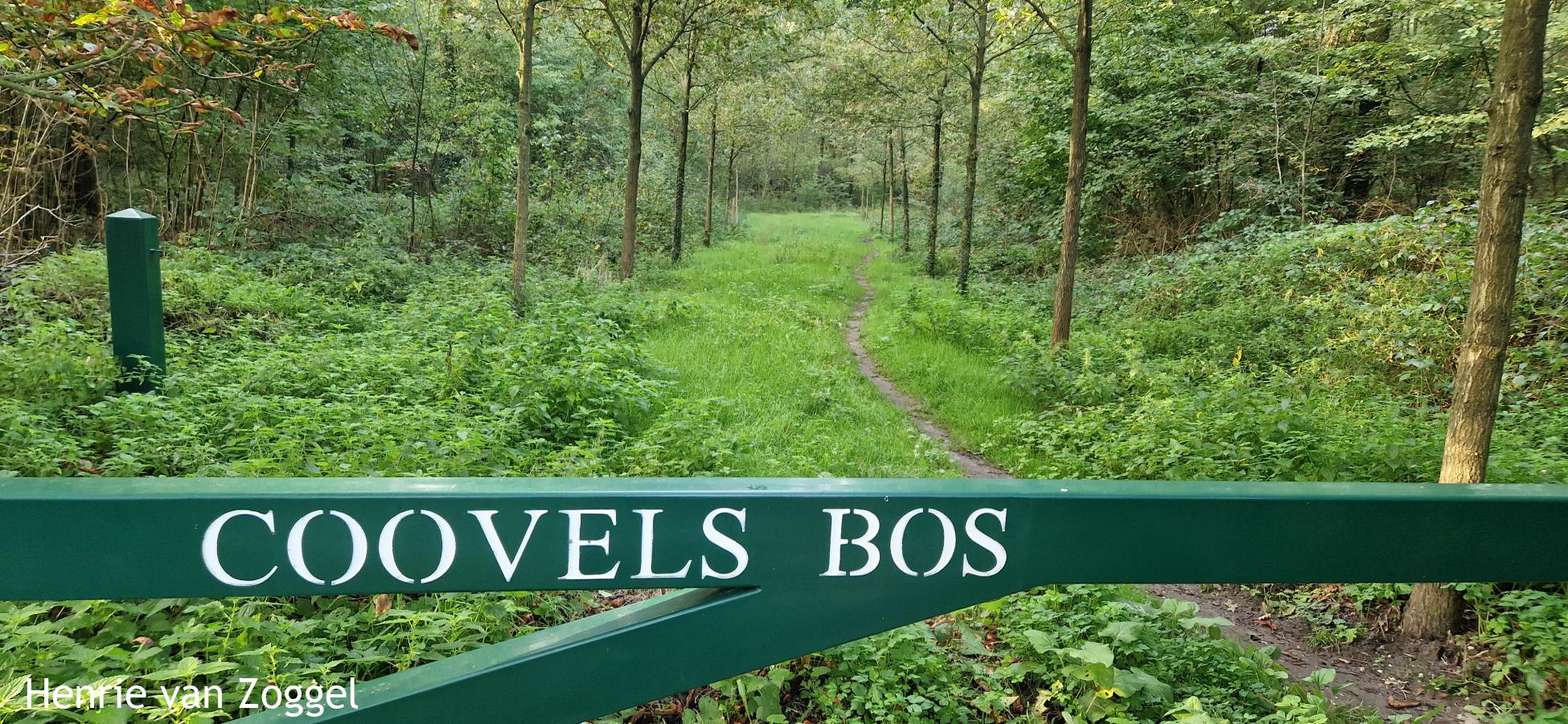 Coovels Bos