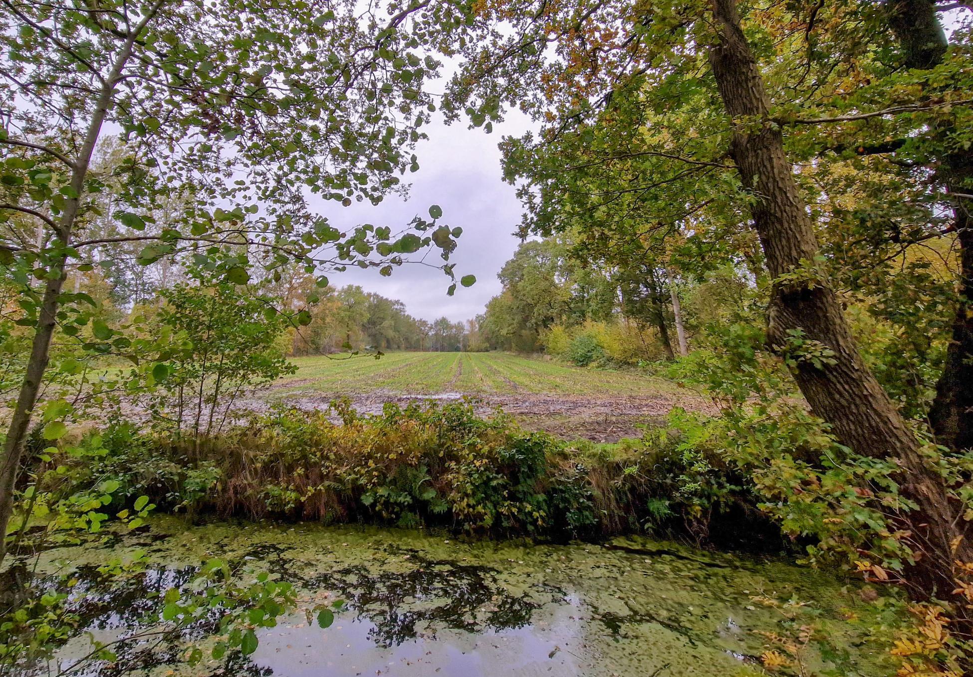 Trage Tocht Nieuwehorne