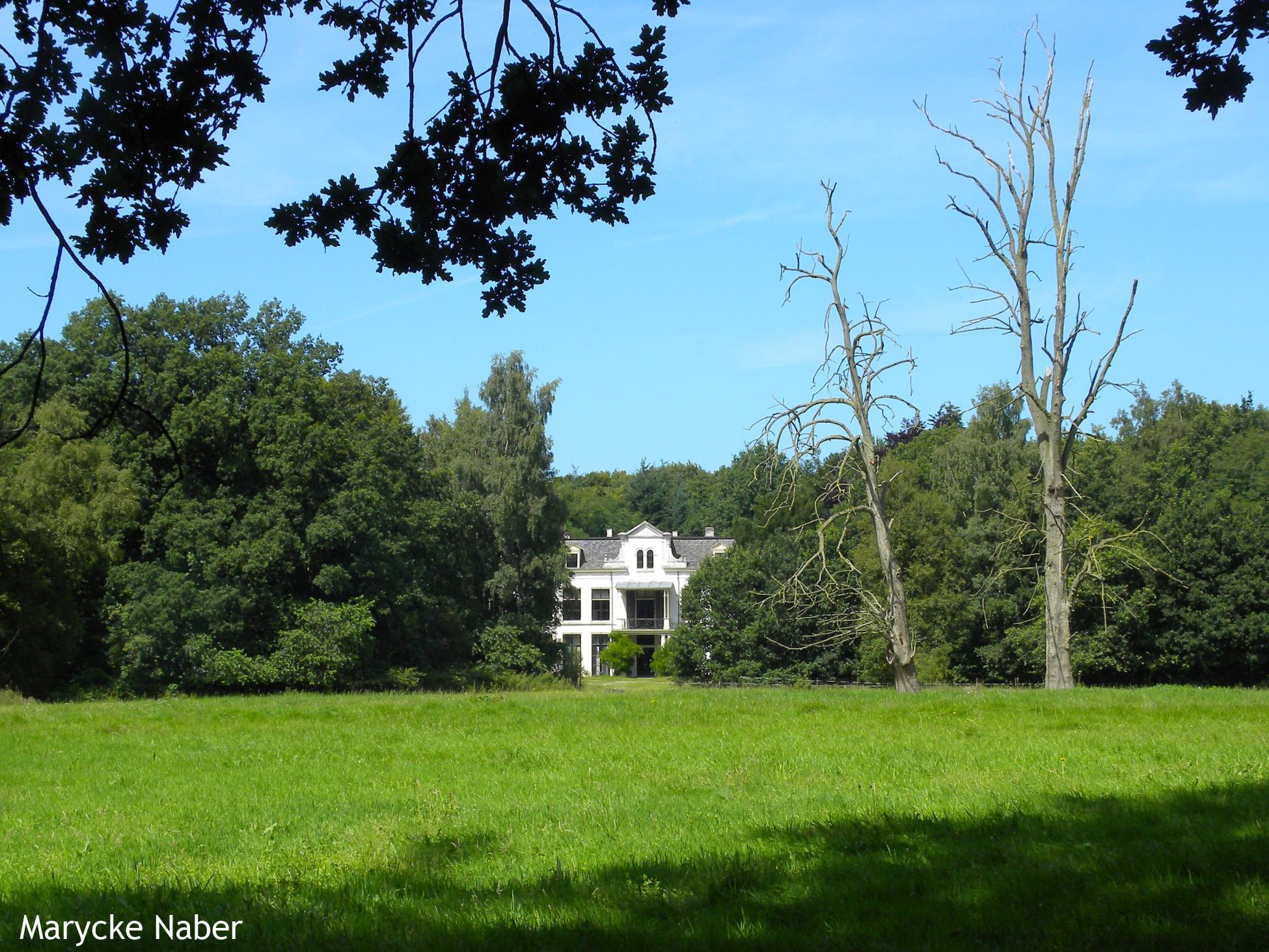 Landgoedwandeling IJsselvliedt, Vollenhof en Oldhorst