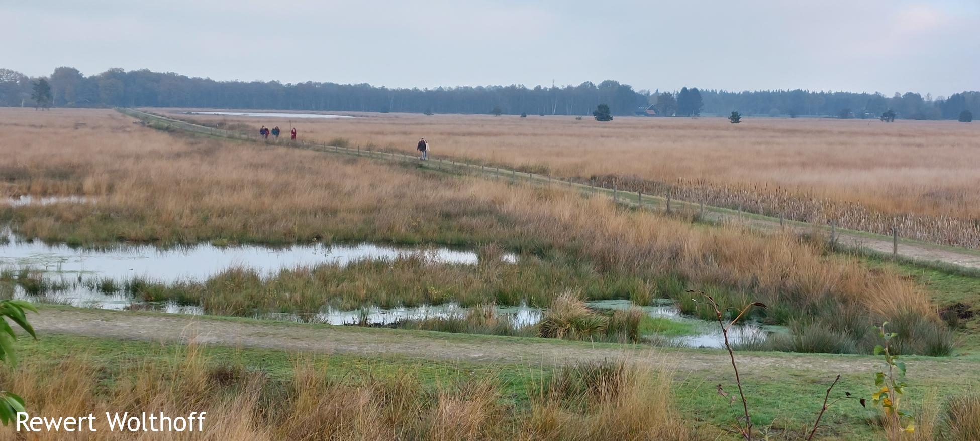 Engbertsdijksvenen