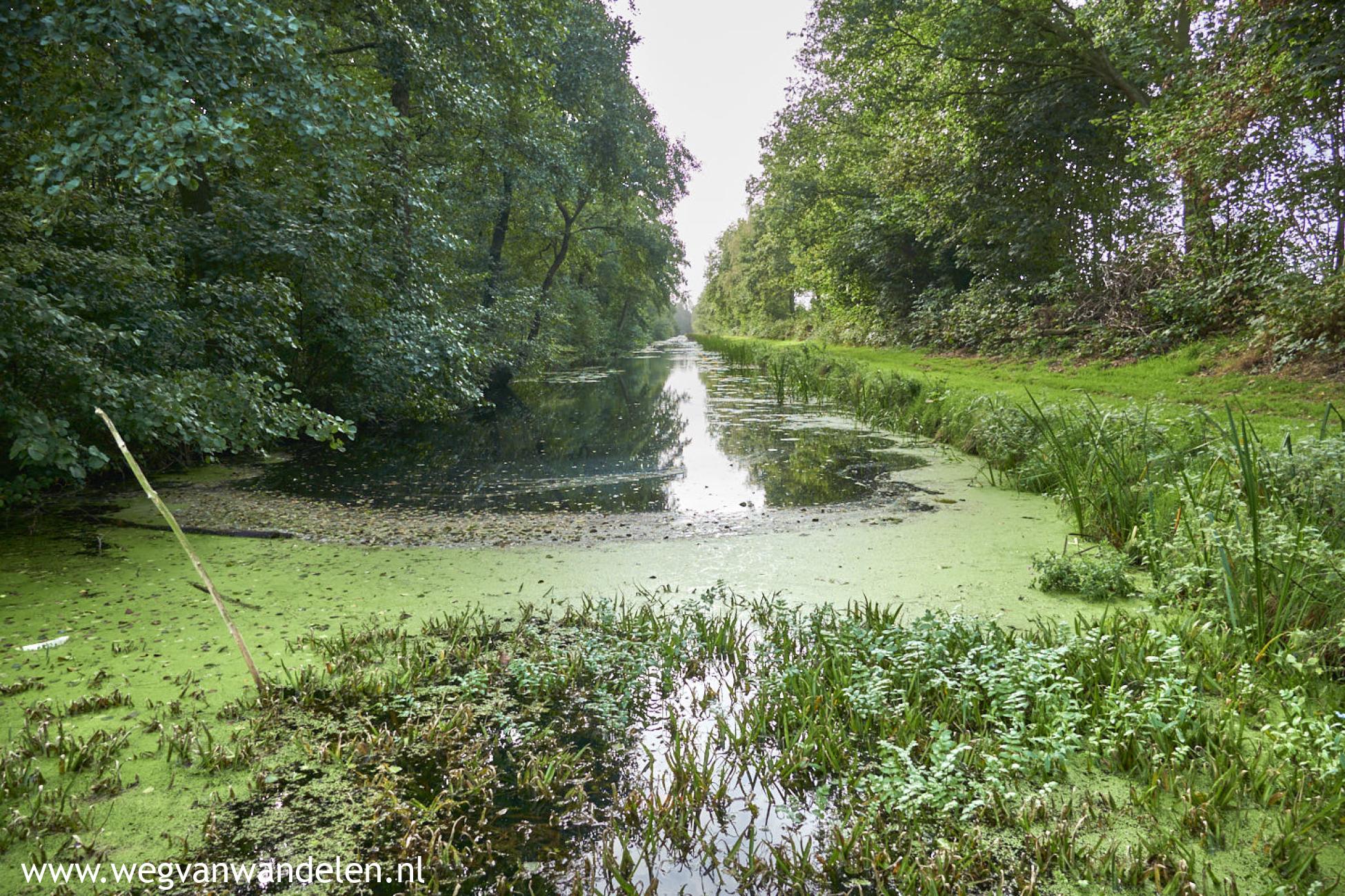Weg van Jubbega