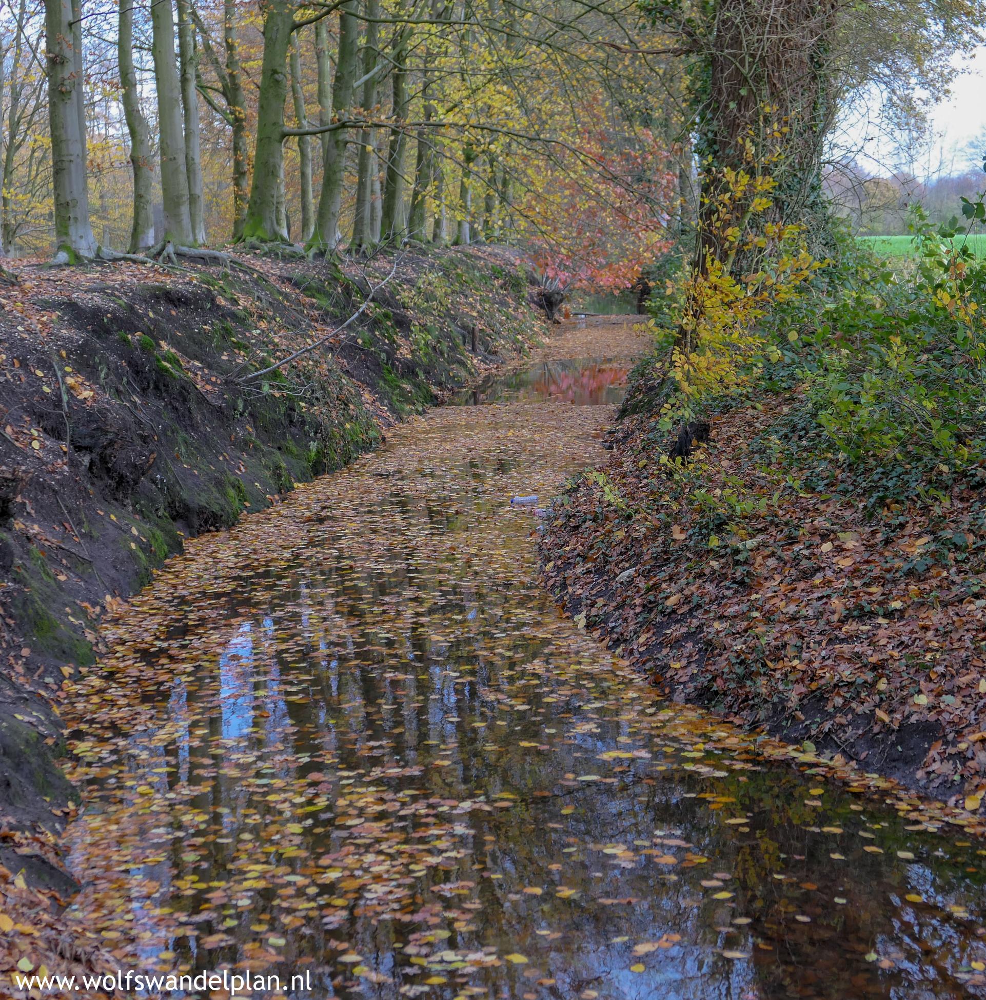 Beekloopje Eerbeek