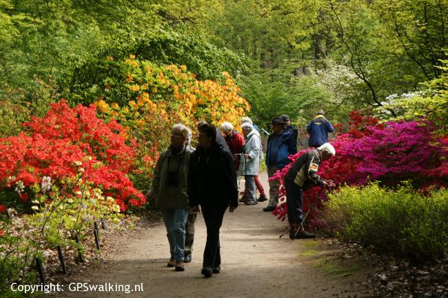 Botanische tuin Belmonte - Blauwe Kamer