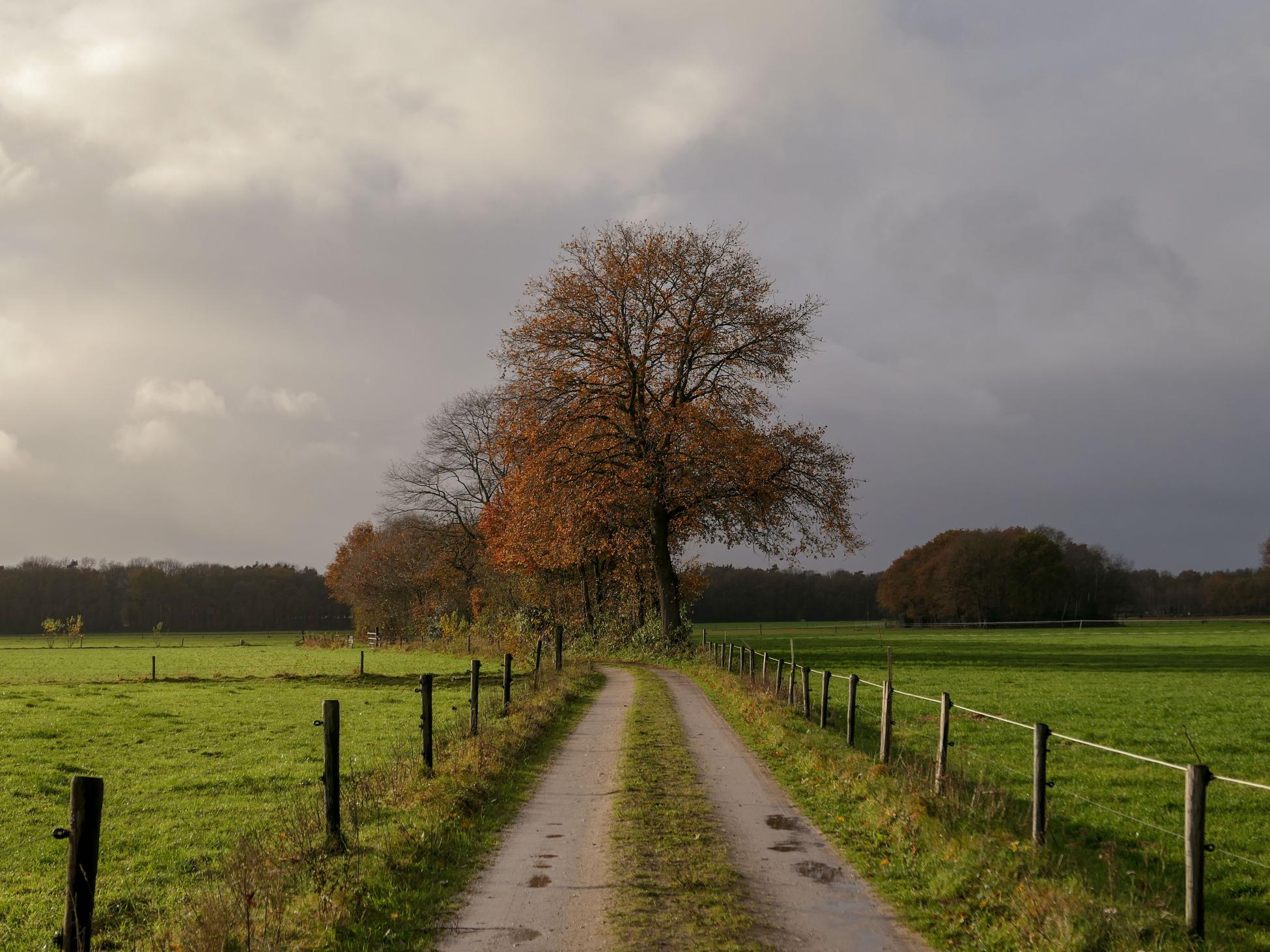 Veluws Rondje Meerveld